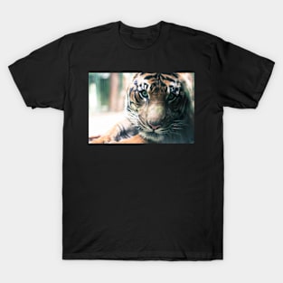 Eye Contact T-Shirt